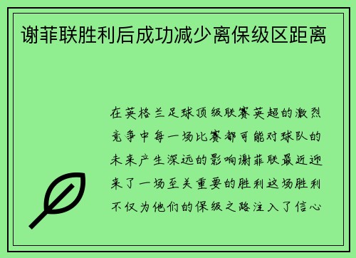 谢菲联胜利后成功减少离保级区距离