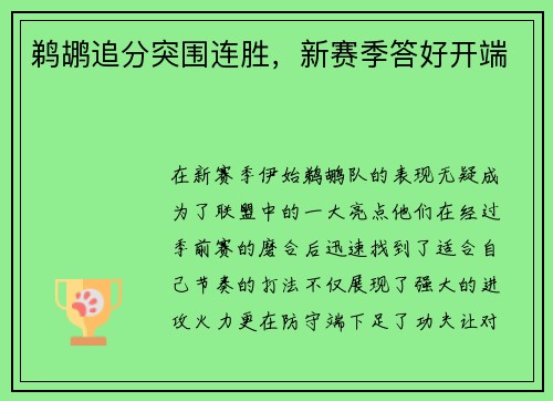 鹈鹕追分突围连胜，新赛季答好开端